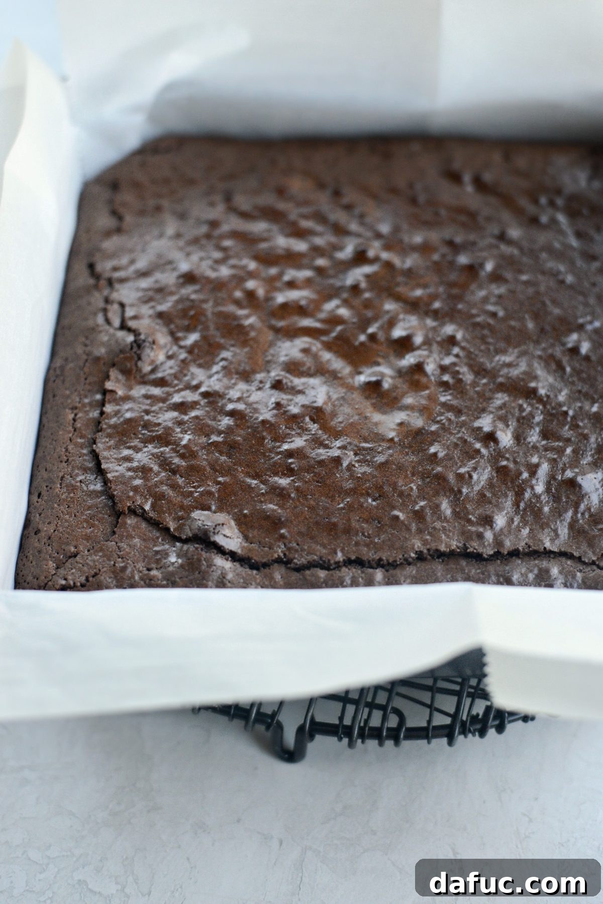 Freshly baked Chocolate Guinness Brownies, golden-brown and cooling in the pan