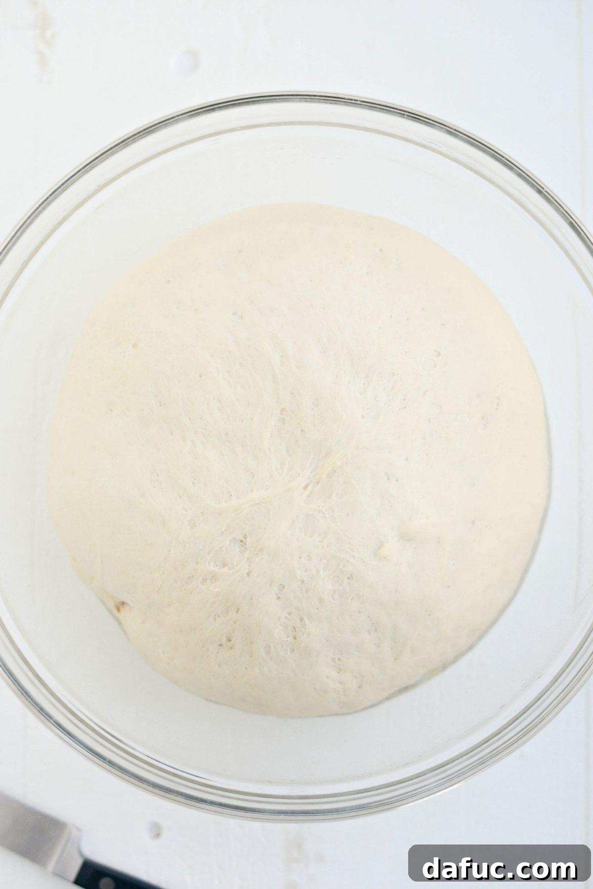 risen dough