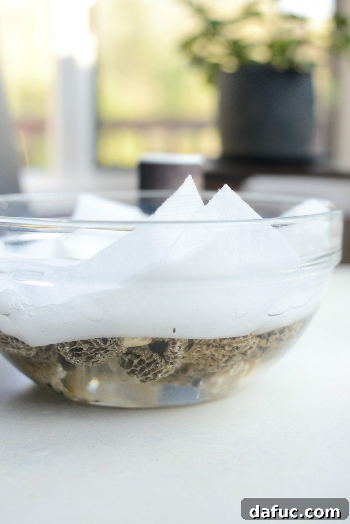 Spring's Wild Morel Sauté 7 Morel mushrooms soaking in a bowl with paper towels