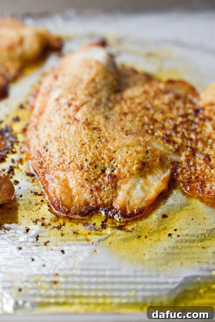 Golden Parmesan Tilapia 11 broiled tilapia parmesan