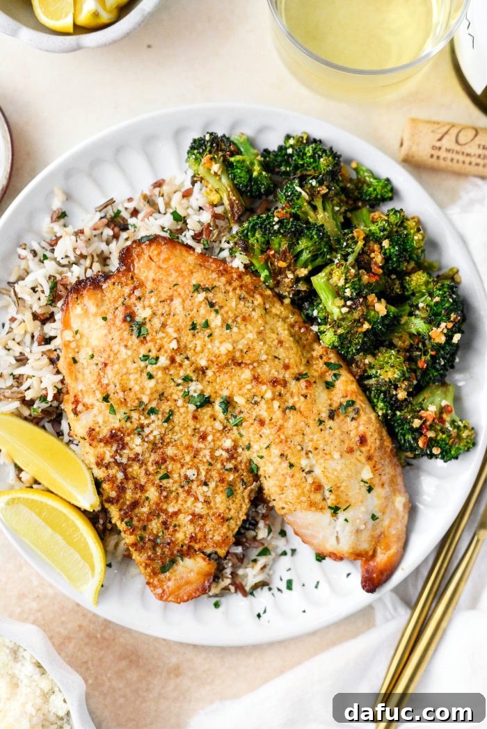 Golden Parmesan Tilapia 12 Broiled Tilapia Parmesan