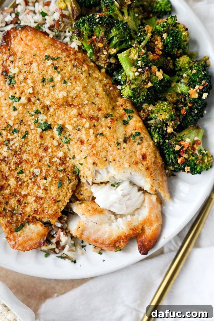 Golden Parmesan Tilapia 13 Broiled tilapia parmesan