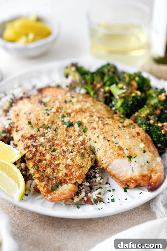 Golden Parmesan Tilapia 3 Broiled Tilapia Parmesan