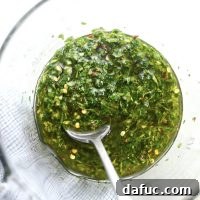 Cilantro Chimichurri Sauce