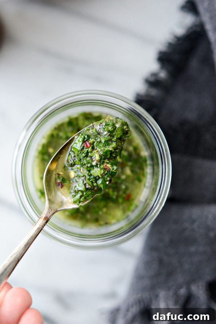 Garden Fresh Chimichurri 2 Vibrant Homemade Chimichurri Sauce, perfect for grilling