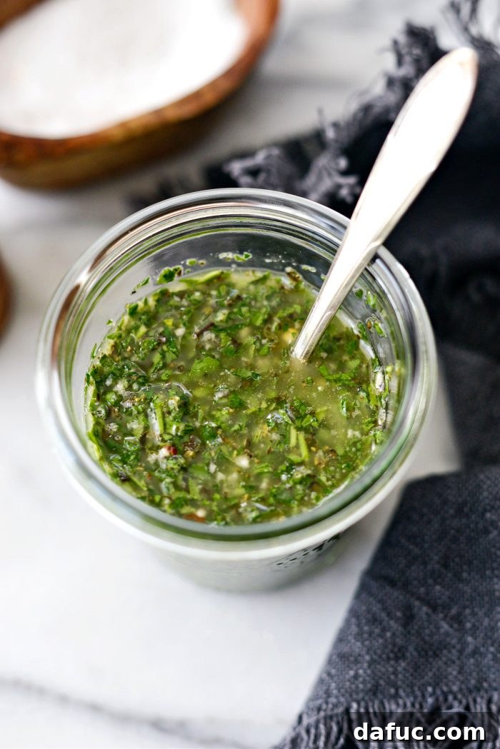 Garden Fresh Chimichurri 12 Serving Homemade Chimichurri sauce with a spoon