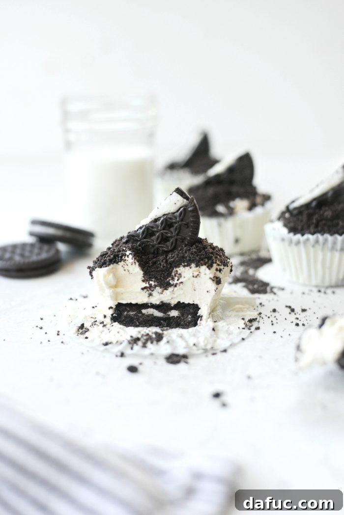 Close-up of Cookies and Cream Mini Cheesecakes ready to be enjoyed