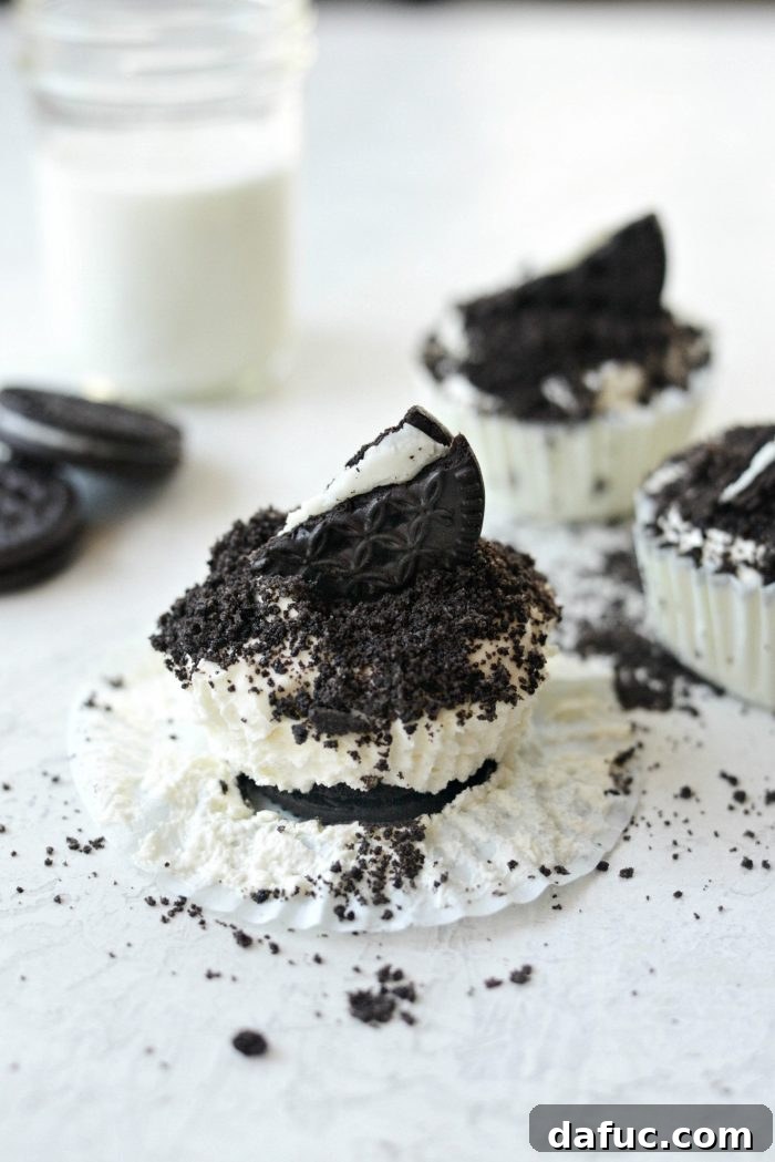 Close-up of a single Cookies and Cream Mini Cheesecake, showcasing its creamy texture and cookie topping