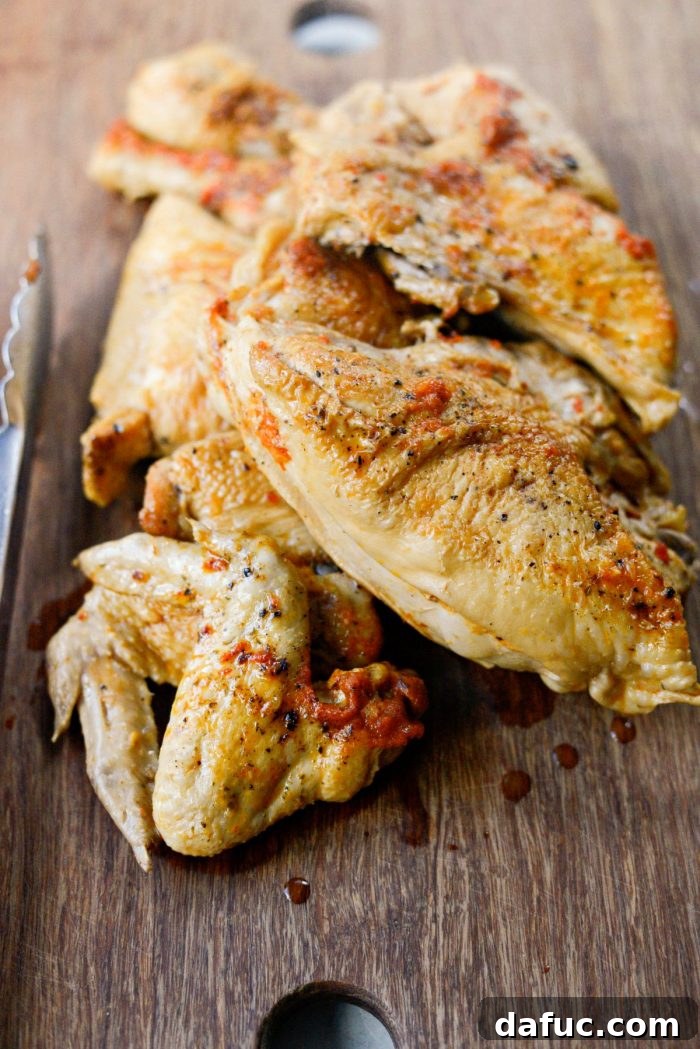 Smoky Chipotle Shredded Chicken 16 cooked chicken