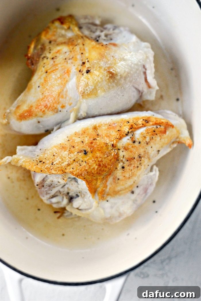 Smoky Chipotle Shredded Chicken 10 sear chicken pieces