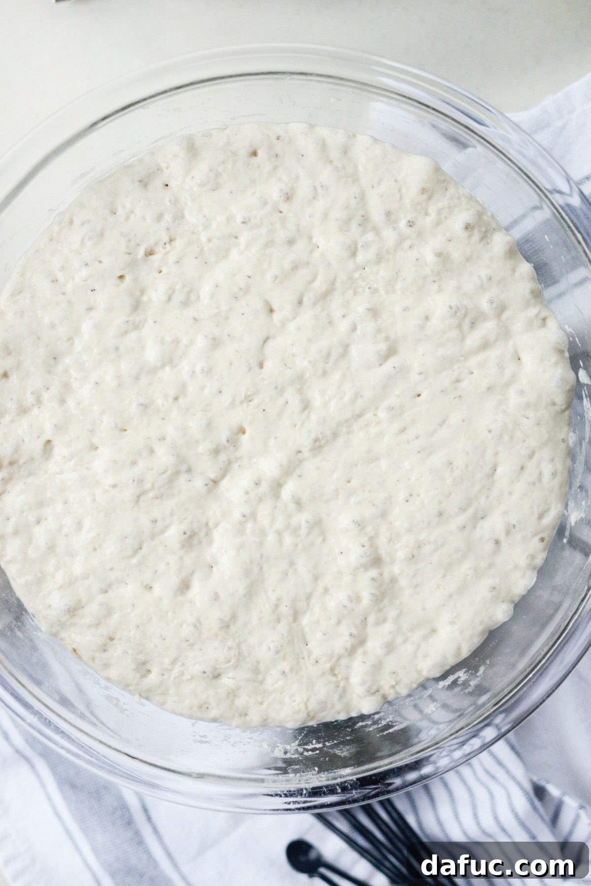 No-Knead Ciabatta: Easy Homemade Perfection 11 Ciabatta dough after 18 hours, showing it has doubled in size with many bubbles