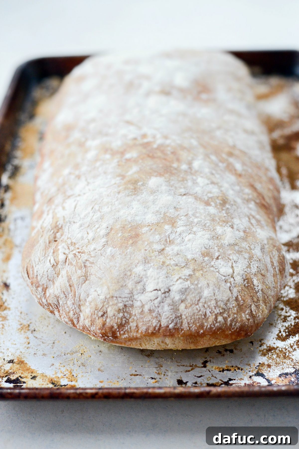 No-Knead Ciabatta: Easy Homemade Perfection 20 Freshly baked Homemade No-Knead Ciabatta Bread with a deep golden crust