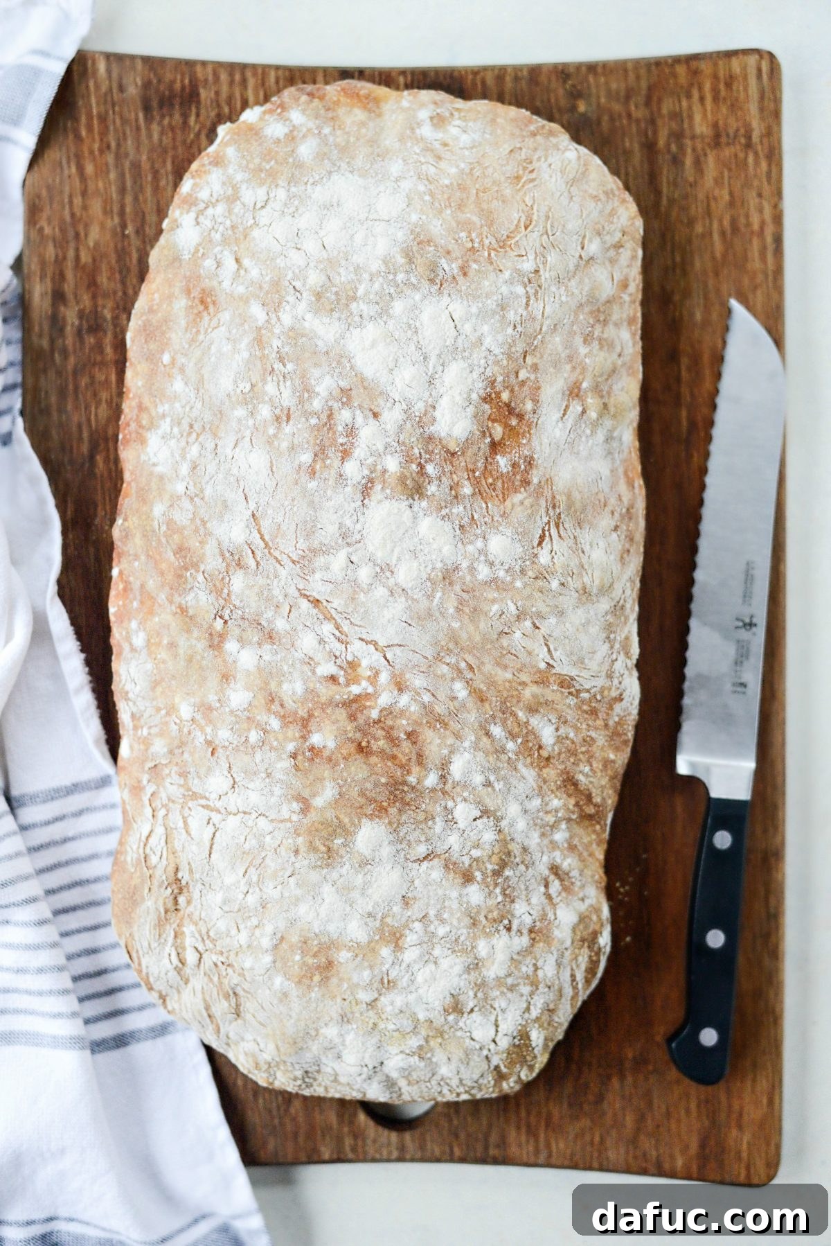 No-Knead Ciabatta: Easy Homemade Perfection 22 Sliced Homemade No-Knead Ciabatta Bread revealing its airy, open crumb interior