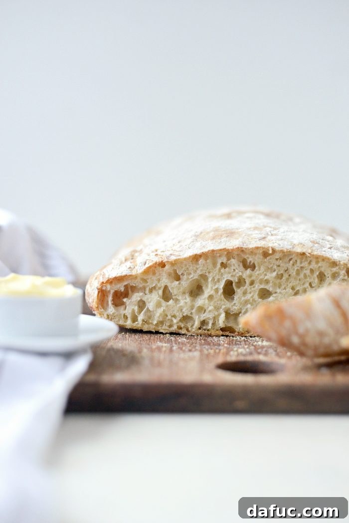 No-Knead Ciabatta: Easy Homemade Perfection 24 A final close-up of Homemade No-Knead Ciabatta Bread, emphasizing its tempting golden crust