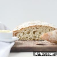 Homemade No-Knead Ciabatta Bread