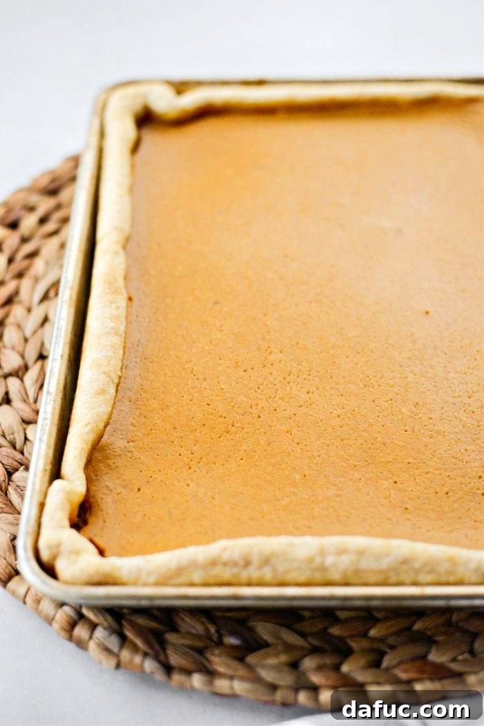 Sheet Pan Pumpkin Pie 15 Freshly baked Pumpkin Slab Pie, steaming slightly, ready for cooling