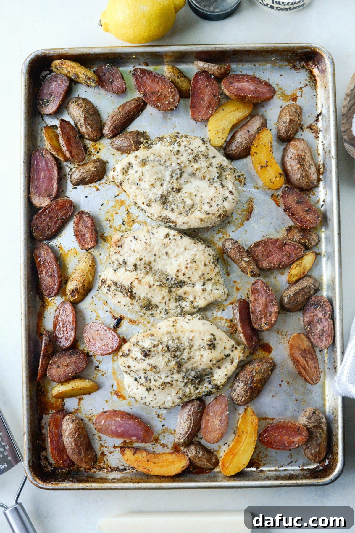 Baked chicken being broiled with Pecorino Romano cheese until golden