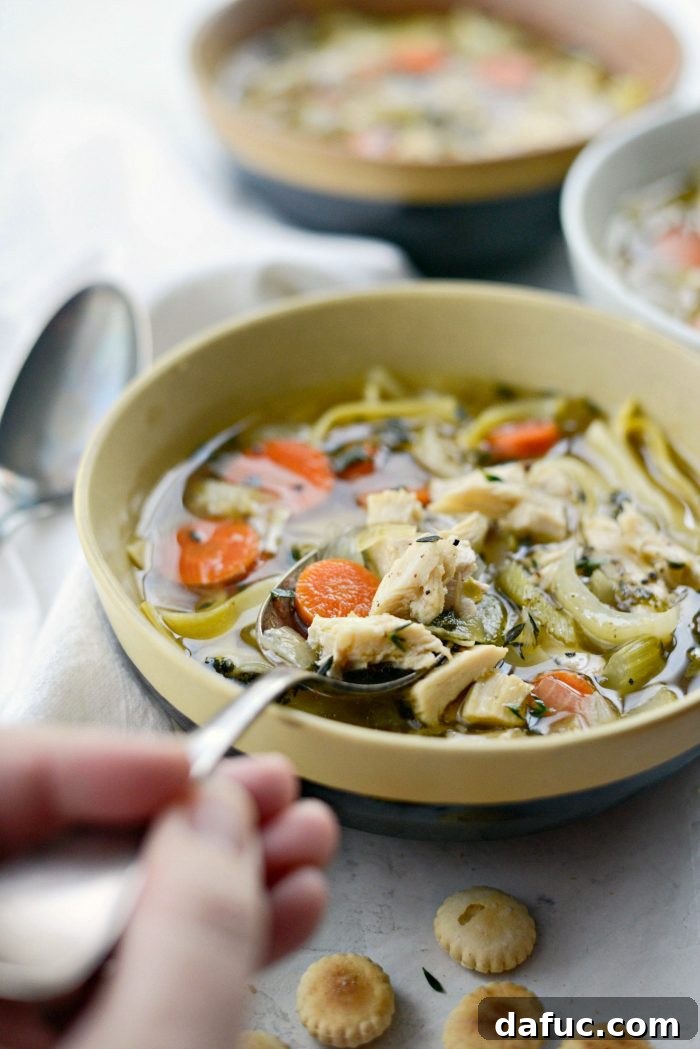 Cozy Turkey Noodle Comfort 15 Spoonful of Leftover Turkey Noodle Soup