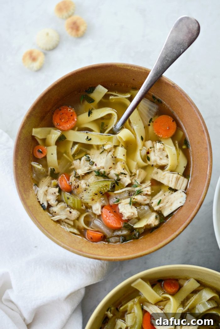 Cozy Turkey Noodle Comfort 16 Close up of Leftover Turkey Noodle Soup