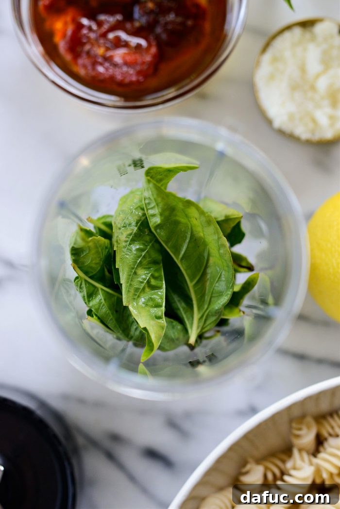Golden Walnut & Sun-dried Tomato Pesto Pasta 6 Fresh basil leaves being added to a blender or mini food processor