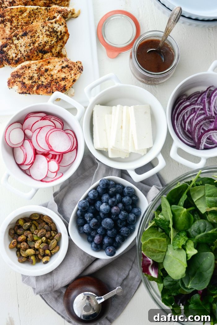 Ingredients for Chicken Blueberry Feta Salad laid out: chicken, blueberries, feta, pistachios, greens, radish, mint, red onion