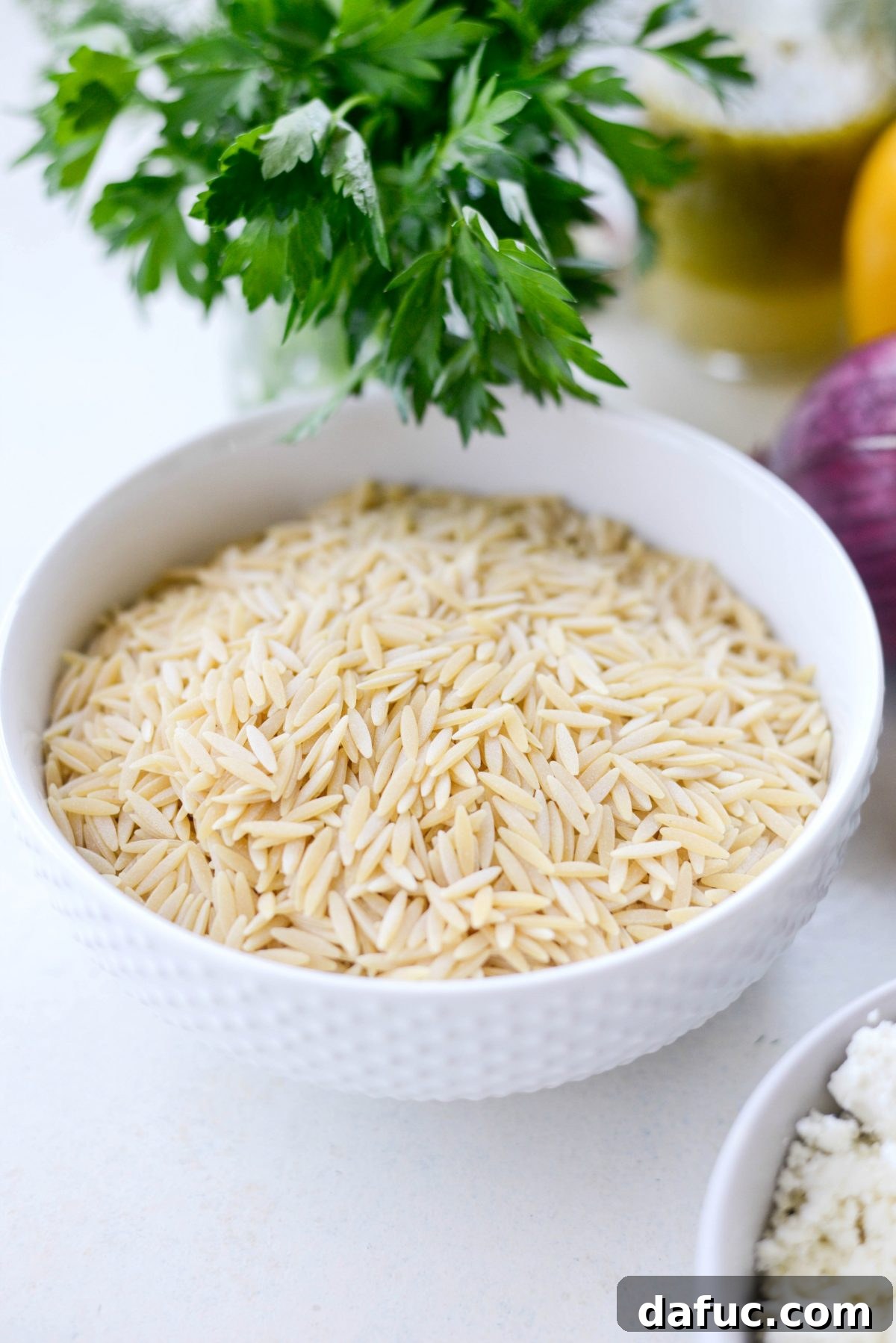 Vibrant Mediterranean Orzo Salad 5 Dry orzo pasta in a white bowl, ready to be cooked