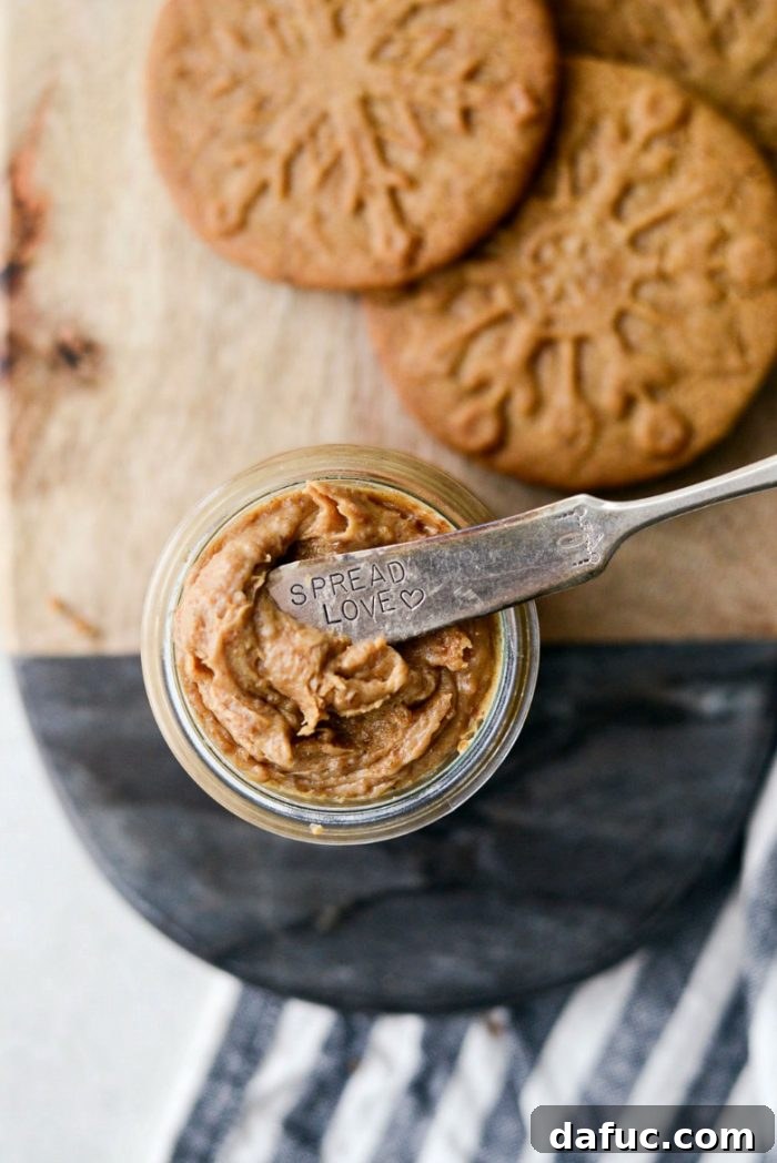 Craft Your Own Speculoos Cookie Butter 14 A final, tempting close-up of the smooth Speculoos Cookie Butter, inviting a taste.