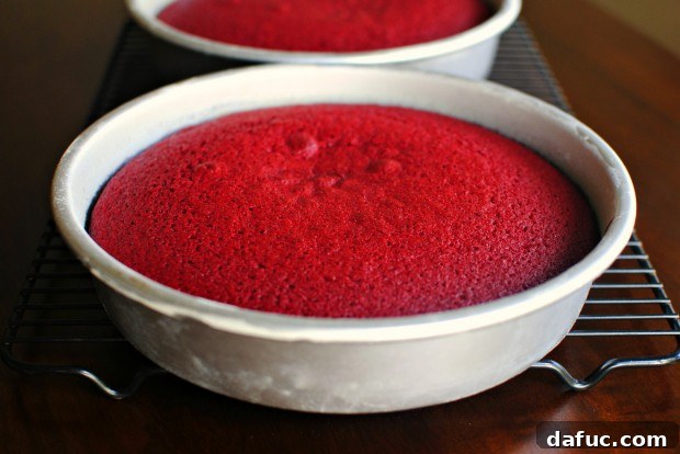 Timeless Red Velvet Cake 22 Two freshly baked Red Velvet Cake layers cooling in their pans after being removed from the oven.