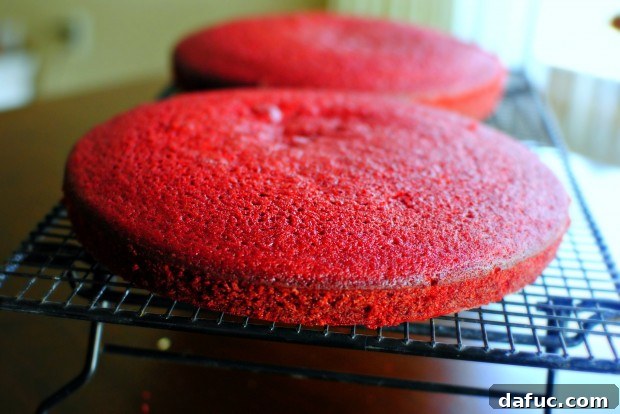 Timeless Red Velvet Cake 23 Perfectly baked Red Velvet Cake layers resting on a wire rack to cool completely before frosting.