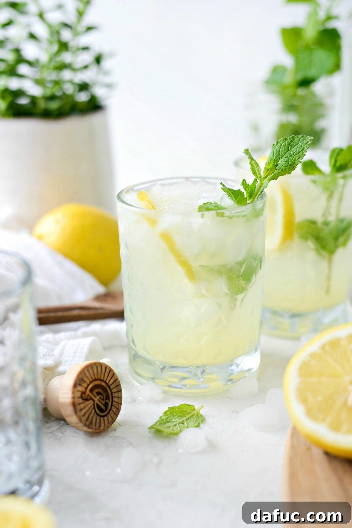 Classic Lemon Gin Fizz cocktail in a tall glass with lemon slice and mint garnish