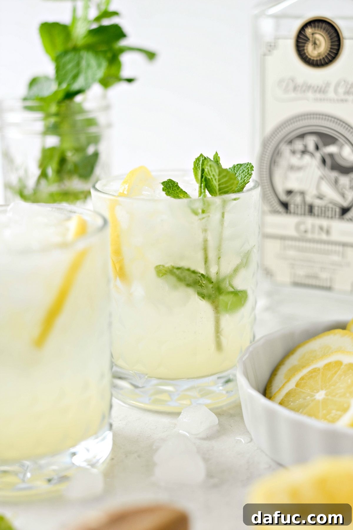 Lemon Gin Fizz cocktail with lush green mint and bright yellow lemon slices
