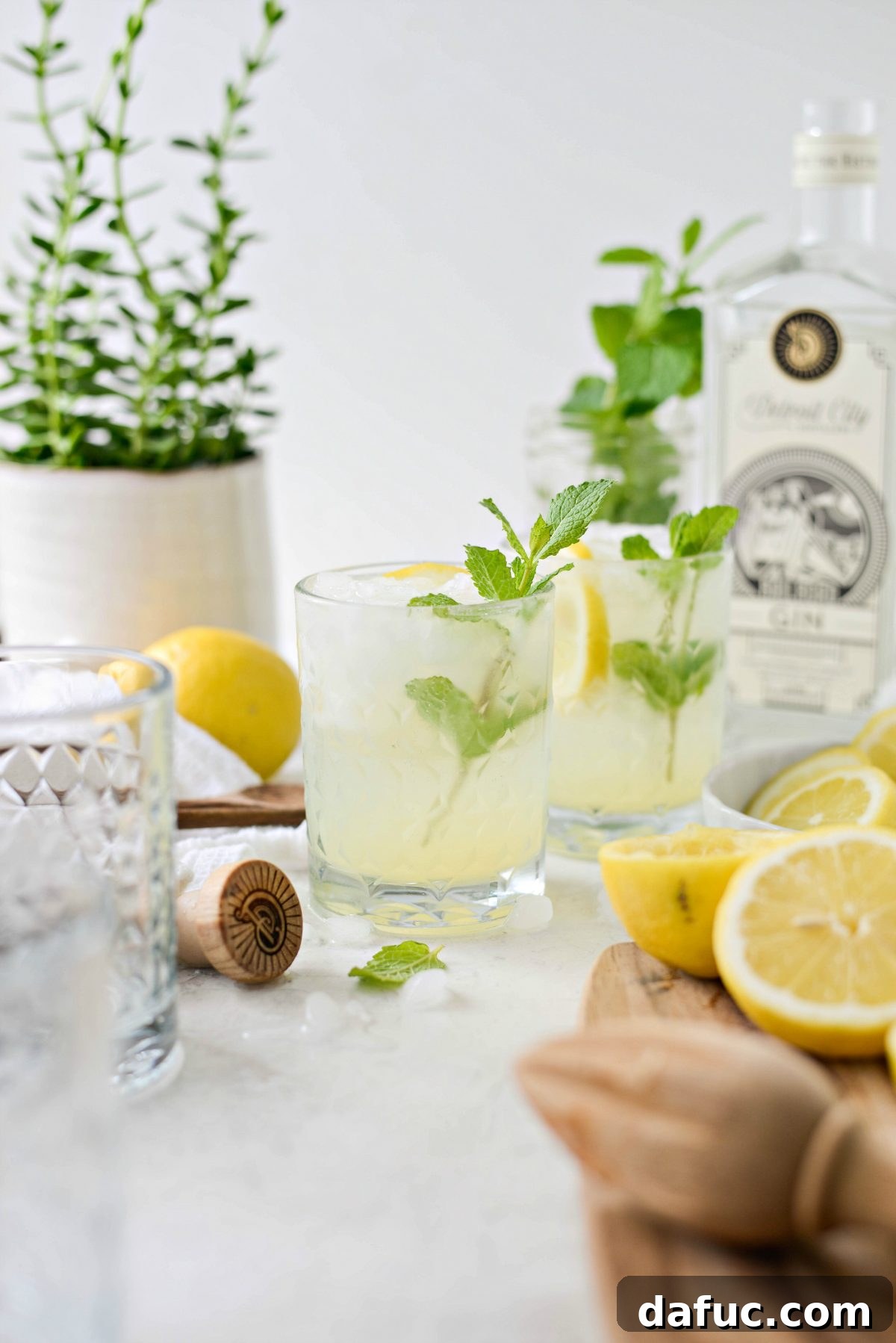 Another appealing shot of a Lemon Gin Fizz, emphasizing its inviting and refreshing nature