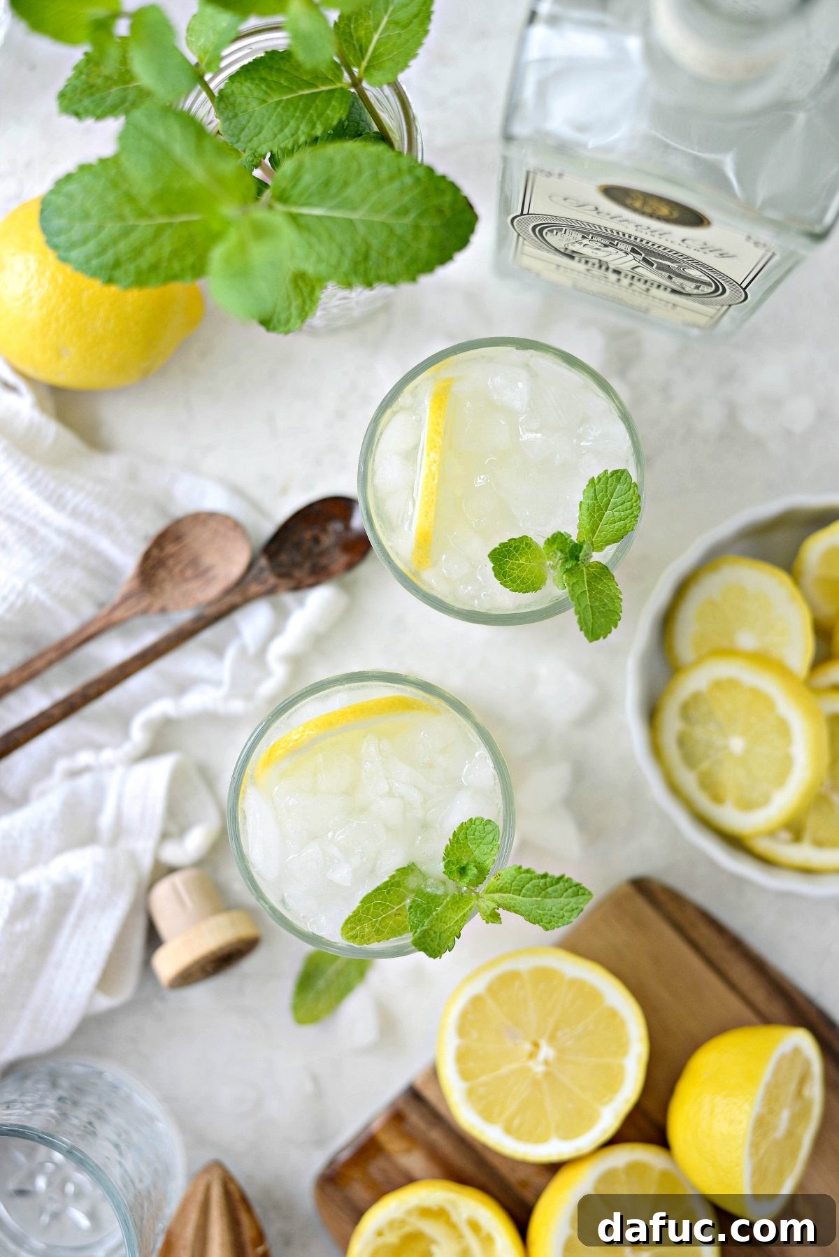 Two Lemon Gin Fizz cocktails ready for serving, garnished with lemon and mint