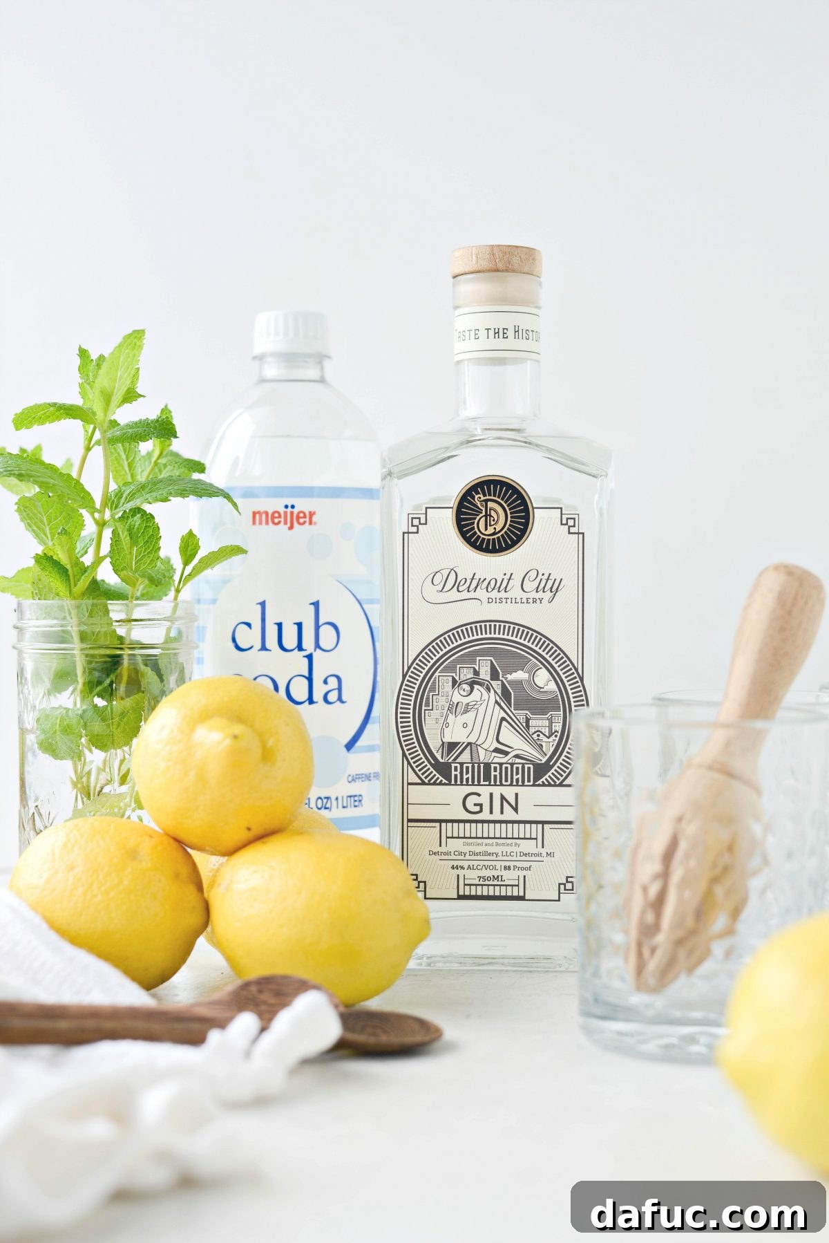 Ingredients for Lemon Gin Fizz: gin bottle, lemons, simple syrup, club soda, ice, and mint