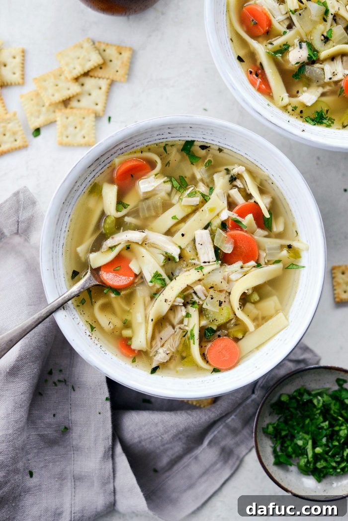 Serving of freshly made homemade chicken noodle soup with Kluski noodles
