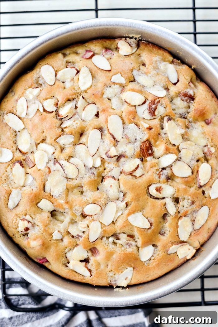 Luscious Rhubarb Almond Bake 21 Rhubarb Almond Cake fresh out of the oven