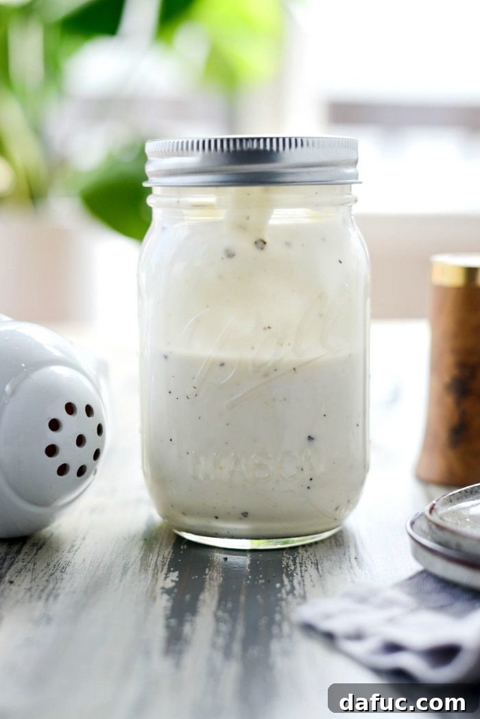 Zesty Greek Yogurt Coleslaw Dressing 5 Smooth and creamy texture of the homemade Greek Yogurt Coleslaw Dressing