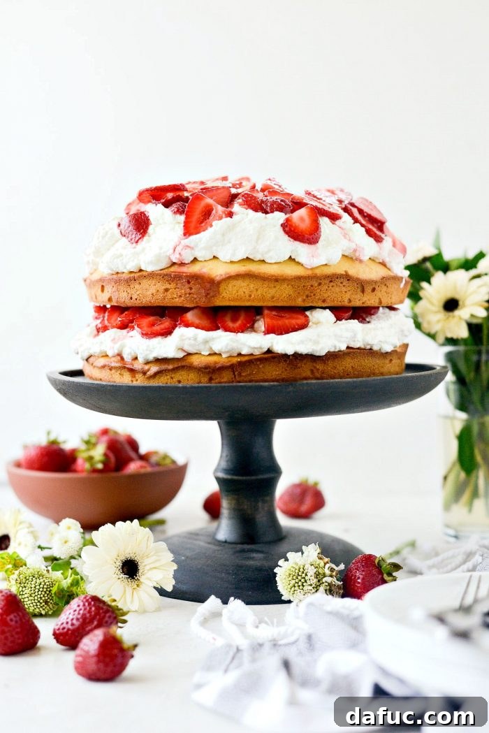 Fresh Strawberry Shortcake 2 Homemade Strawberry Shortcake Cake with Lavender Strawberries on SimplyScratch.com. A perfect summer dessert recipe featuring pound cake, whipped cream, and fresh berries.