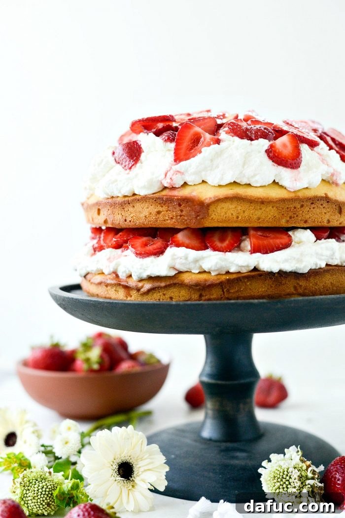 Fresh Strawberry Shortcake 25 Second layer of pound cake placed on top of whipped cream and strawberries, continuing the Strawberry Shortcake Cake assembly.