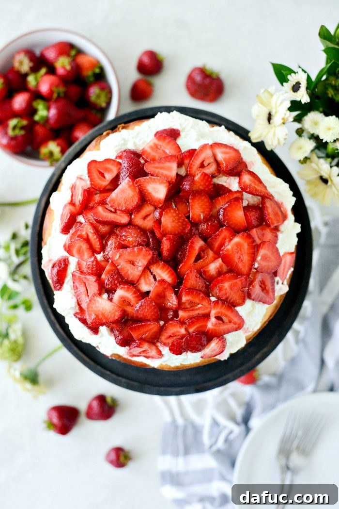 Fresh Strawberry Shortcake 28 Close-up of the top of a finished Strawberry Shortcake Cake, with fresh lavender strawberries and whipped cream.