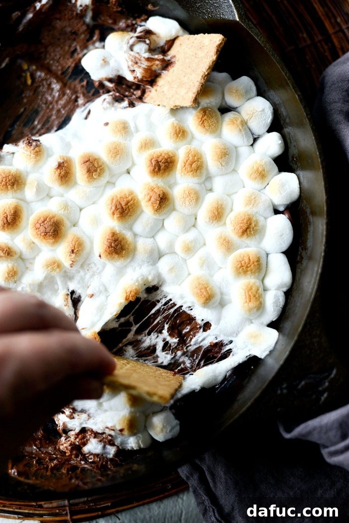 Gooey Campfire Skillet Dessert 13 Final top-down shot of the Skillet S'mores Dip, highlighting the toasted marshmallows and melted chocolate.