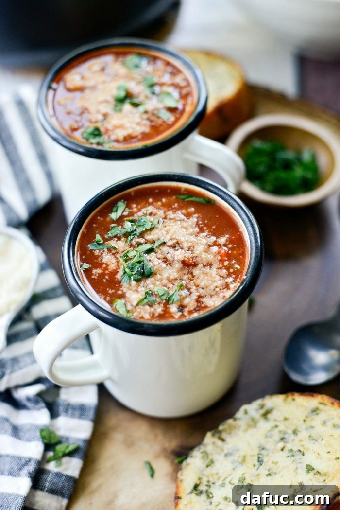 A close-up shot of the garnished Beef Tomato Ancini de Pepe Soup in a rustic mug, emphasizing its inviting steam and rich texture.