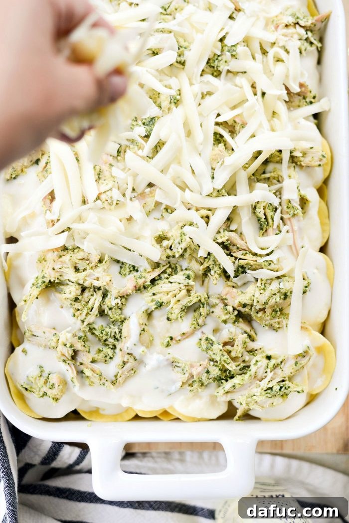 Pesto Chicken Ravioli Lasagna Bake 14 Second layer of béchamel, pesto chicken, and remaining raviolis and ricotta