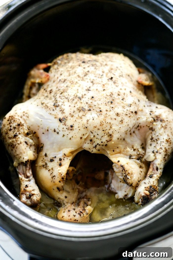 Perfectly cooked, fall-off-the-bone chicken