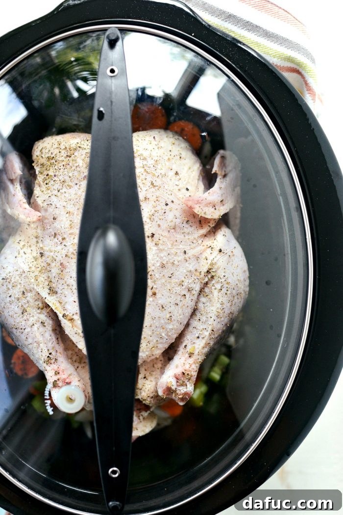 Seasoning chicken with salt, pepper, and basil