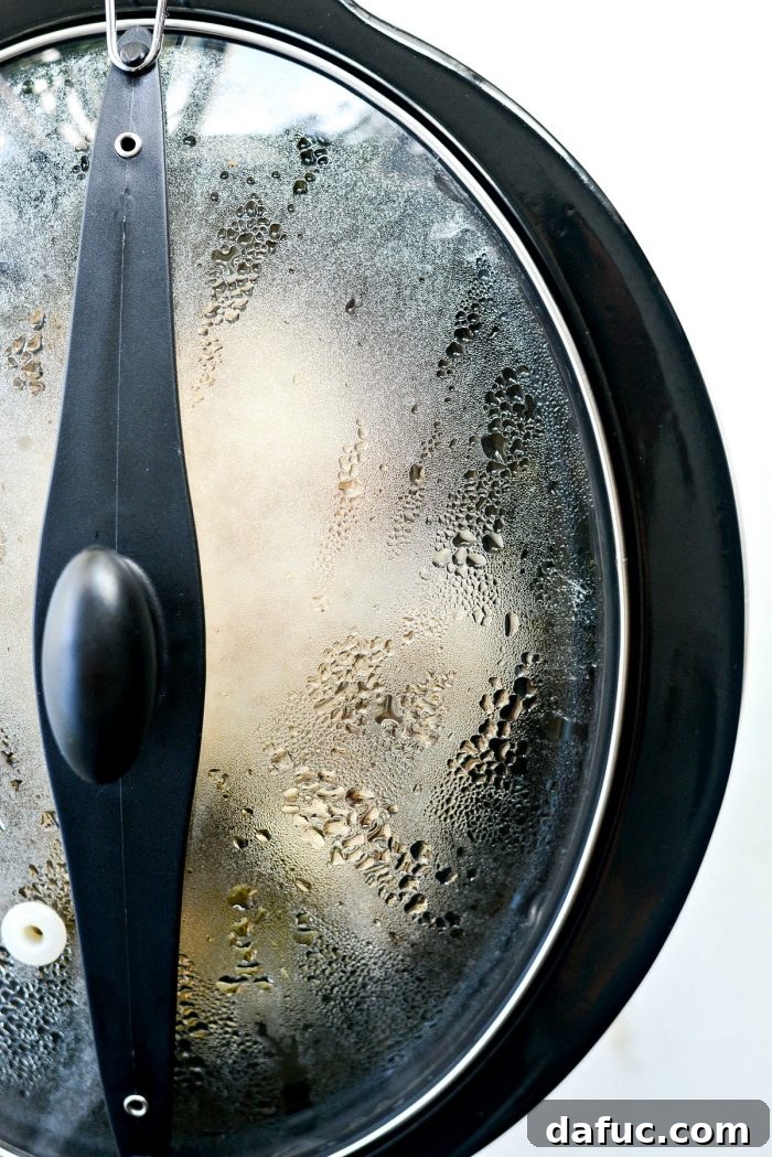 Slow cooker lid on, cooking process begins