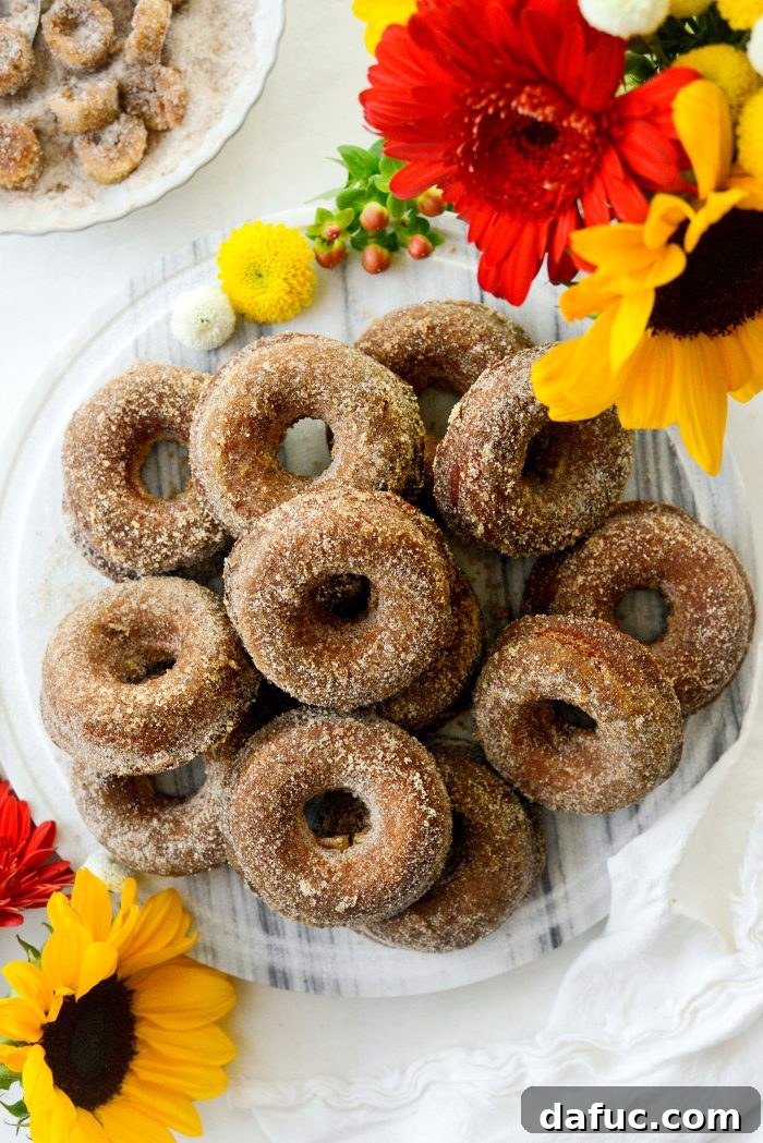 Harvest Apple Doughnut Delight 2 Apple Cider Doughnuts