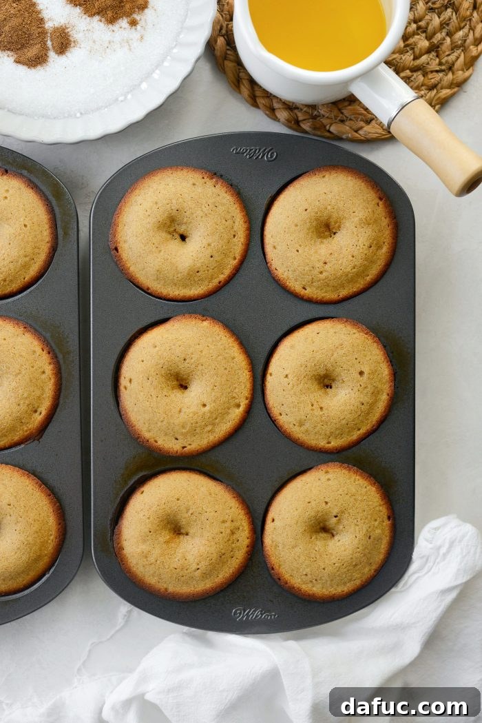 Harvest Apple Doughnut Delight 17 freshly baked