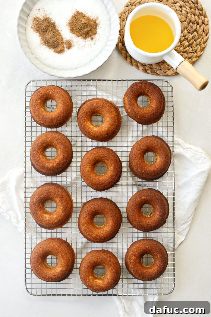 Harvest Apple Doughnut Delight 18 transfer to wire rack to cool