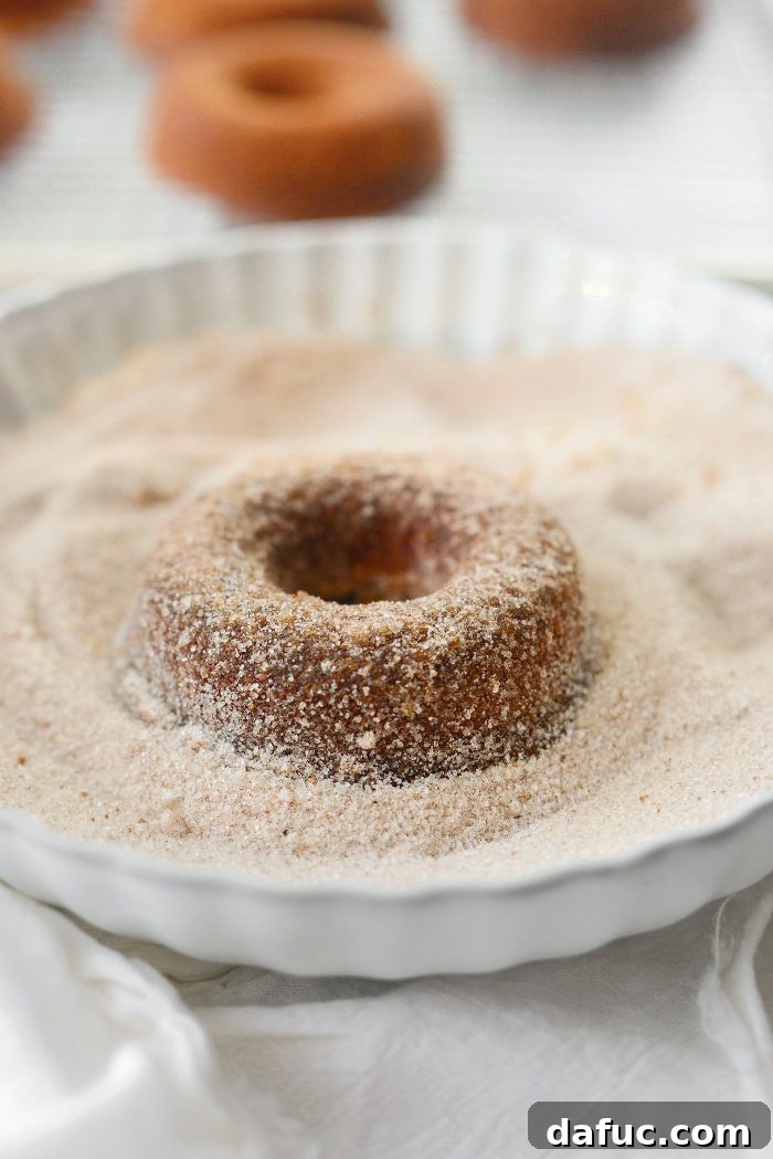 Harvest Apple Doughnut Delight 22 Then coat in the spiced sugar
